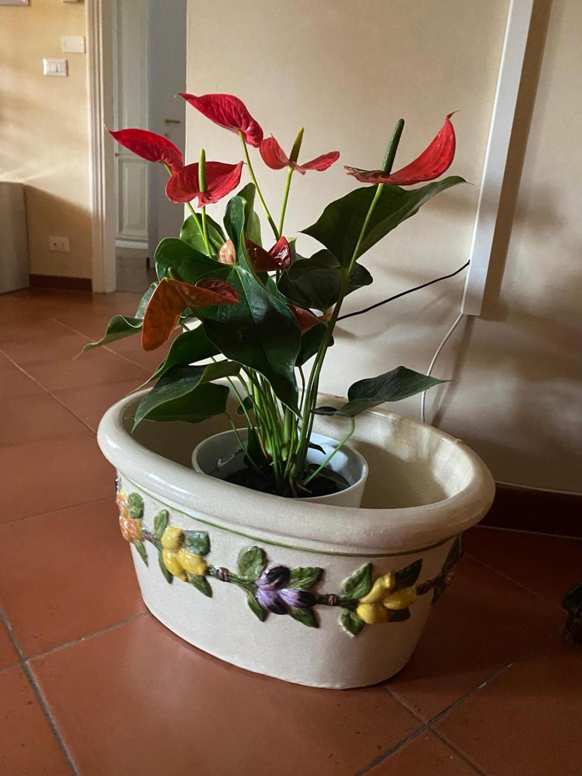Appartamento Magnolia Mercatale Val Di Pesa Exteriör bild